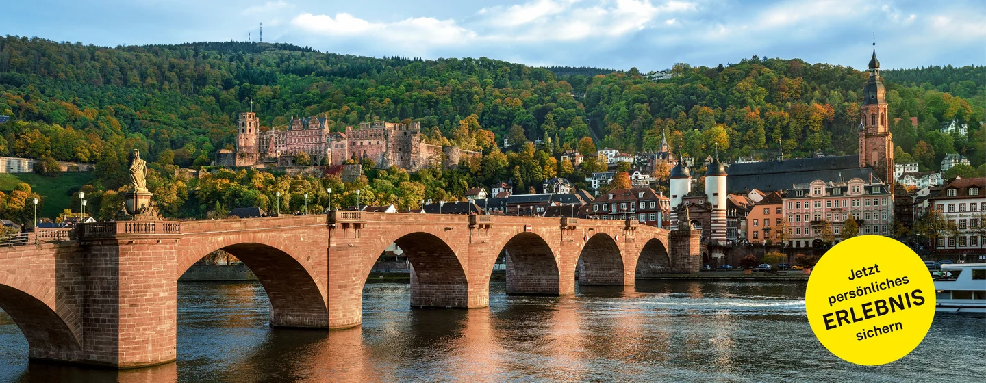 Schloss Heidelberg, Panoramaansicht